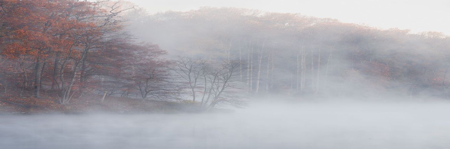 Toda la Oferta de Formacion a tu Alcance Educacion Superior