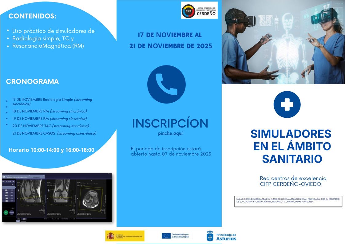 RED DE EXCELENCIA FP: CURSO SIMULADORES EN AMBITO SANITARIO 2025