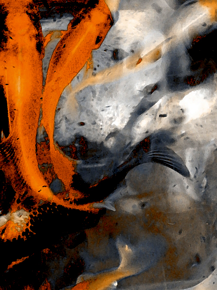 Banner 1 - 300 x 600