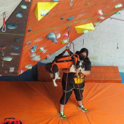 Perros de Busqueda y Rescate