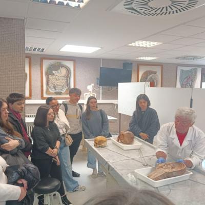 2024 04 24 At Museo Anatomia1