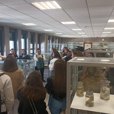 2024 04 24 At Museo Anatomia3